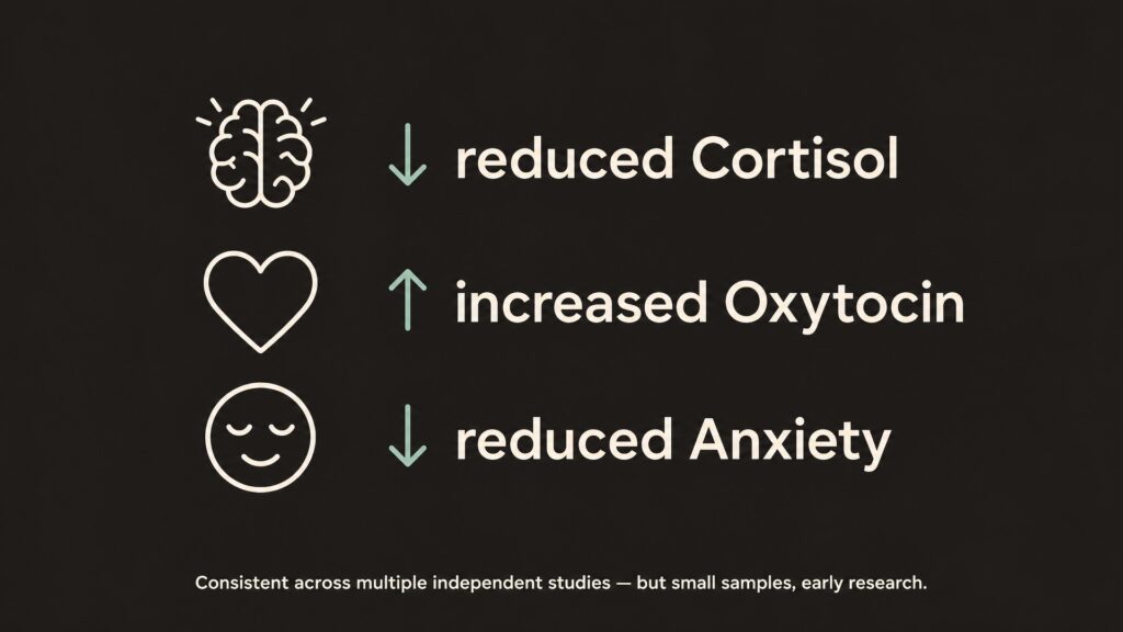 Infographic showing cortisol decrease, oxytocin increase, and anxiety reduction associated with 528 Hz research